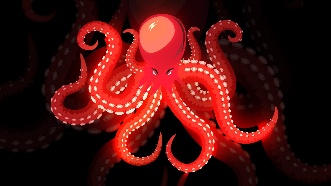 OctopusOrganization